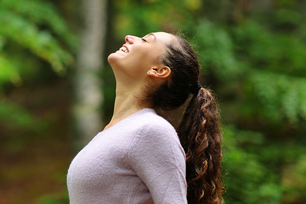 Profile of a happy woman in a forest breathing fresh air